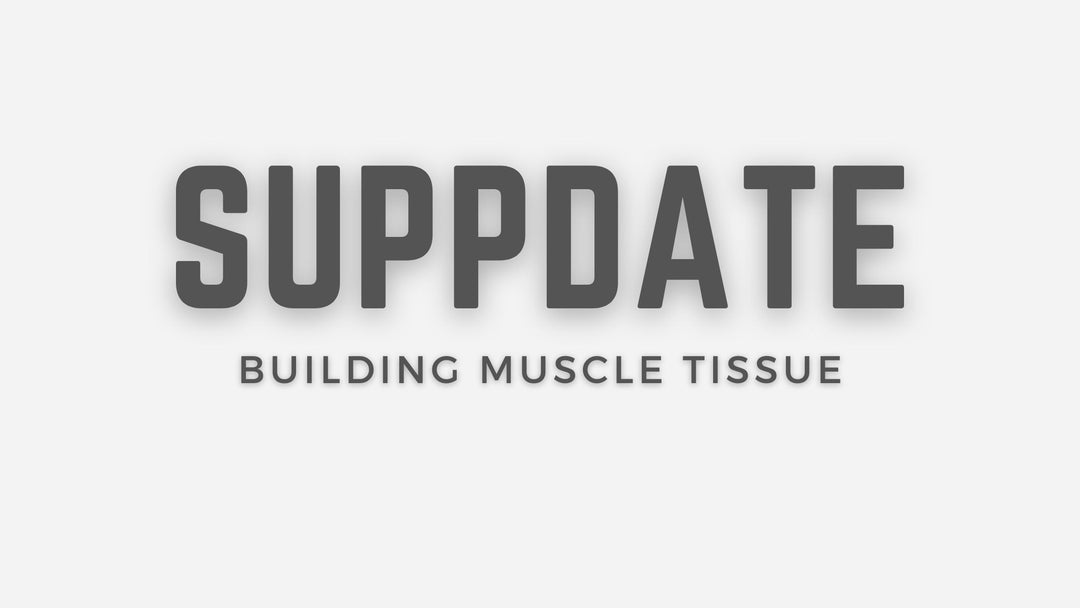 Building Muscle Tissue
